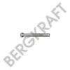 RENAULT 5010130738 Spring Bolt